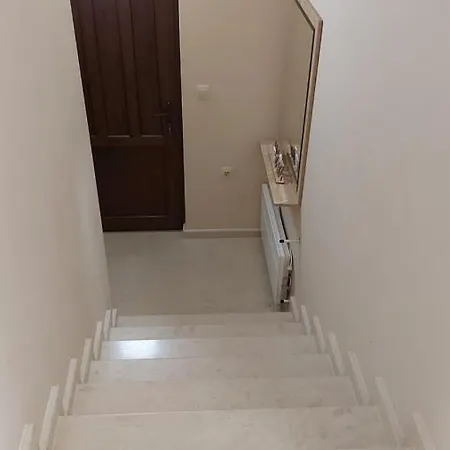 Forest Сапарева-Баня