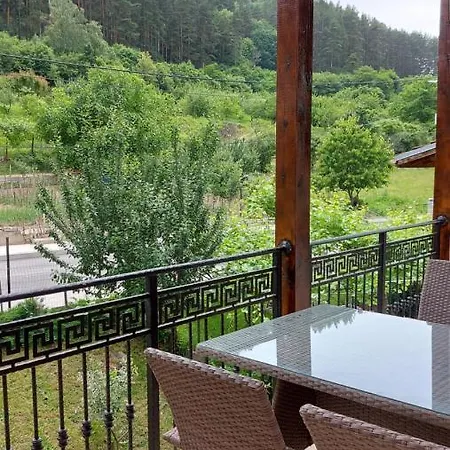 Forest Sapareva Banya