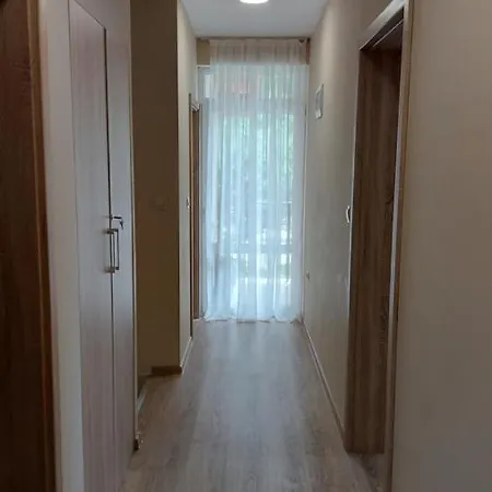 Forest Apartment