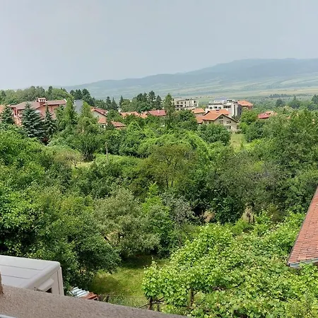 Daire Forest Sapareva Banya