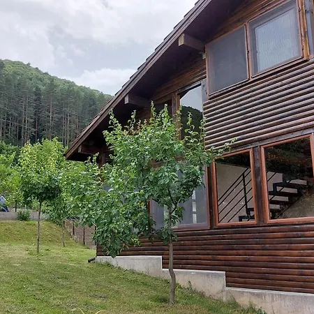 Apartment Forest Sapareva Banya