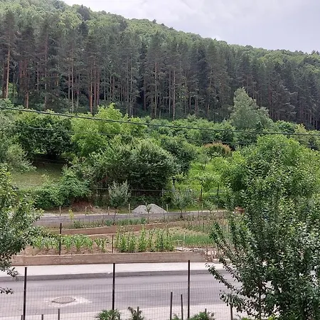 Lejlighed Forest *