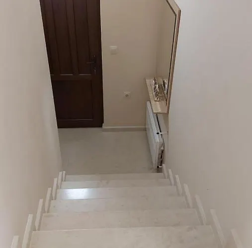 Forest Sapareva Banja