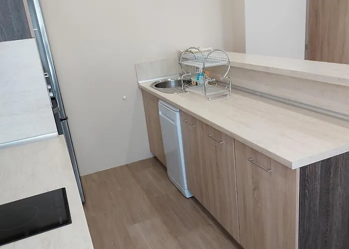 Forest Sapareva Banya