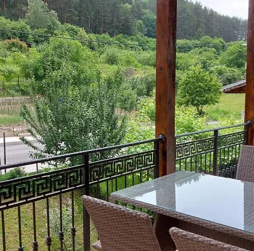 Forest Sapareva Banja