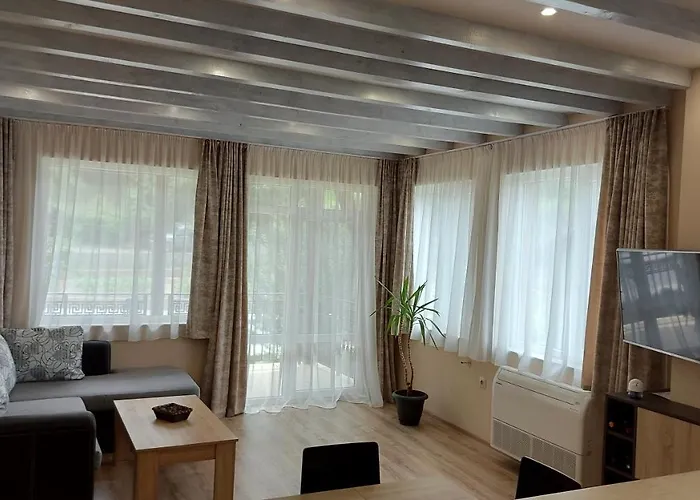 Forest * Sapareva Banja