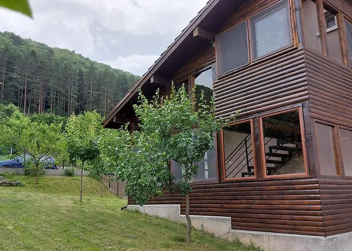 Apartmán Forest Sapareva Banja